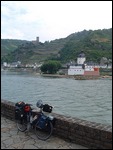 Rhine scene