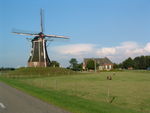 224 Windmill and ponies
