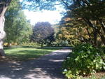 15-20 Botanic Gardens