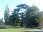 15-24 Botanic Gardens