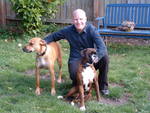 16-01 Kelly and dogs