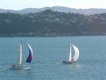 18-36 Yachts