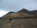 28 Central Crater, view back to Emerald Lakes