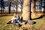 2001-12 Wintry Richmond Park