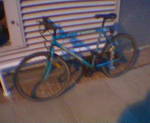 2004-05 Edna's Bike